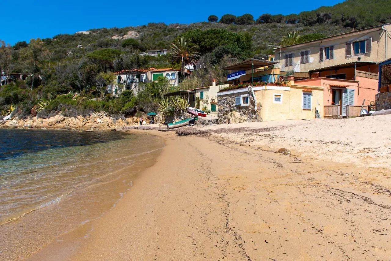 Scaglieri Oyster Beach - Direttamente Sulla Spiaggia Del Forno 0*,