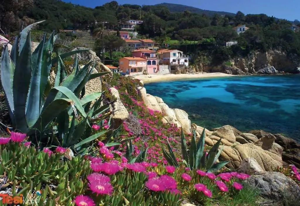 Apartamento Oyster Beach - Direttamente Sulla Spiaggia Del Forno Scaglieri Itália